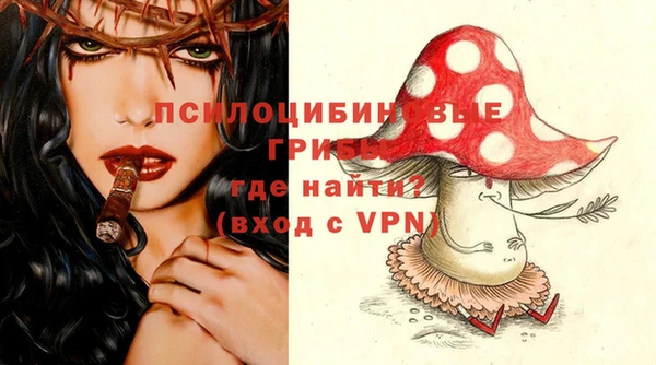соль курить ск Бородино