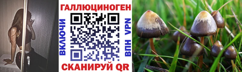 Псилоцибиновые грибы Magic Shrooms  Купить где  Пущино 